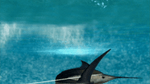 *Reel Fishing: Angler's Dream, Wii