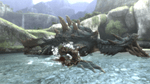 Monster Hunter Tri, Wii