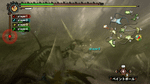 Monster Hunter Tri, Wii