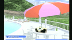 Summer Heat Beach Volleyball, PS2