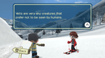 *We Ski, Wii