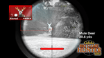 *Cabela's Big Game Hunter 2012, Wii