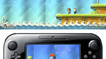 *Nintendo Land, WiiU