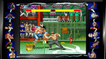 *Street Fighter 30th Anniversary Collection, NX