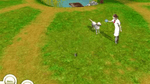 Paws & Claws Pet Vet, Wii