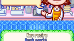 Cooking Mama, NDS