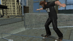 Skate It, NDS