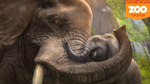 Zoo Tycoon, X360