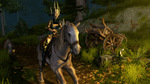 Sacred 2: Fallen Angel, PS3