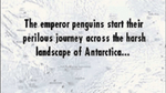 March of the Penguins, GBA