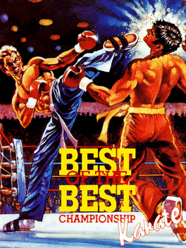 *Best of the Best Championship Karate, SNES
