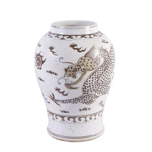 Brown Porcelain Hong Wu Flaring Rim Jar Dragon Motif