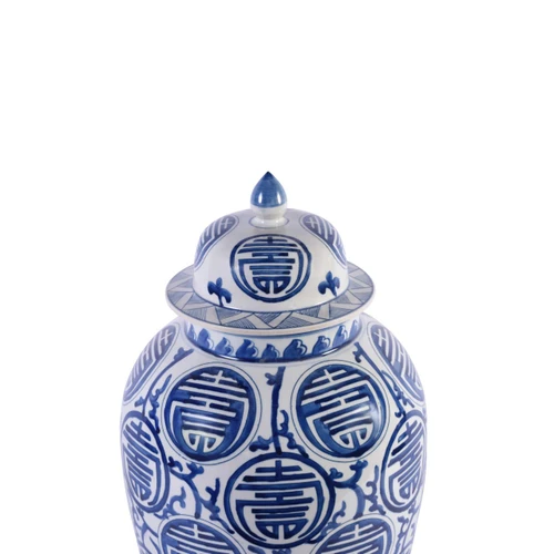 Blue & White Longevity Heaven Jar