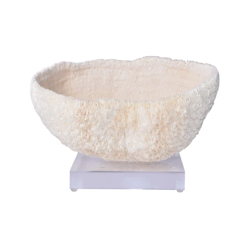 Bowl Coral On Acrylic Base - 2 Sizes
