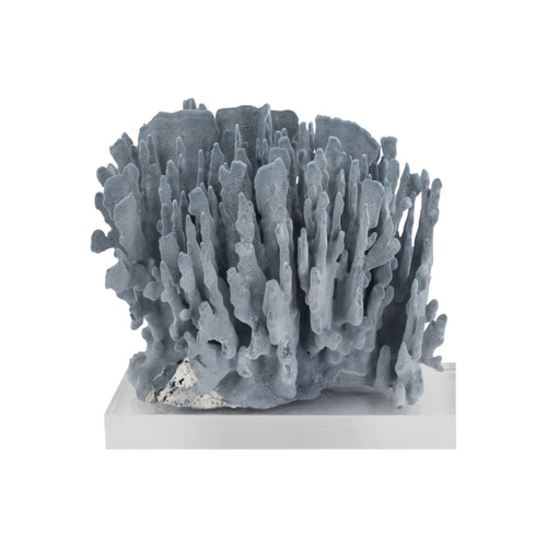 Blue Coral 15-18 Inch On Acrylic Base