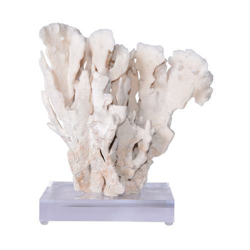 Cactus Coral On Acrylic Base - 3 Sizes