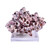 Barnacle Coral On Acrylic Base - 3 Sizes