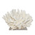 Cats Paw Coral Creation On Acrylic Base