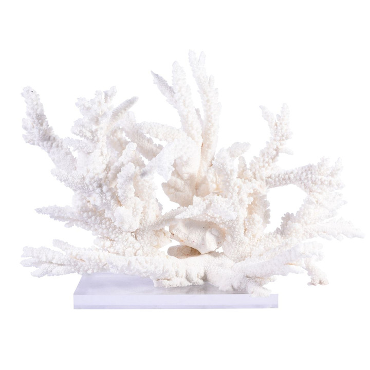 Branch Coral Creation