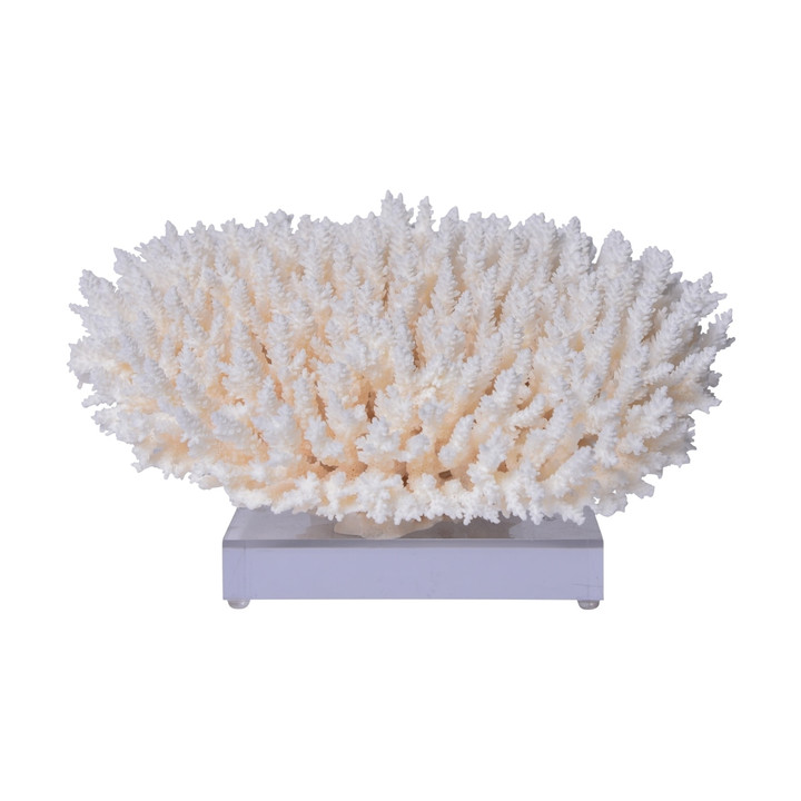Table Coral On Acrylic Base - 3 Sizes