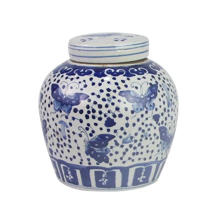 Blue And White Ming Jar Butterfly