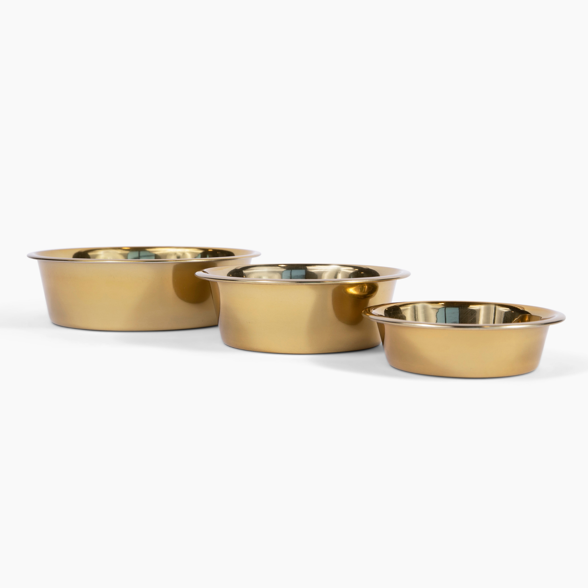 Large Clear Double Dog Bowl Feeder with Gold Bowls