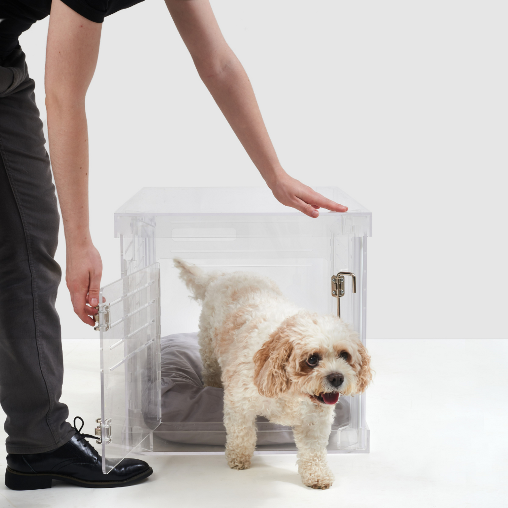 small pet dog clear acrylic lucite modern crate freestanding pet crate furniture