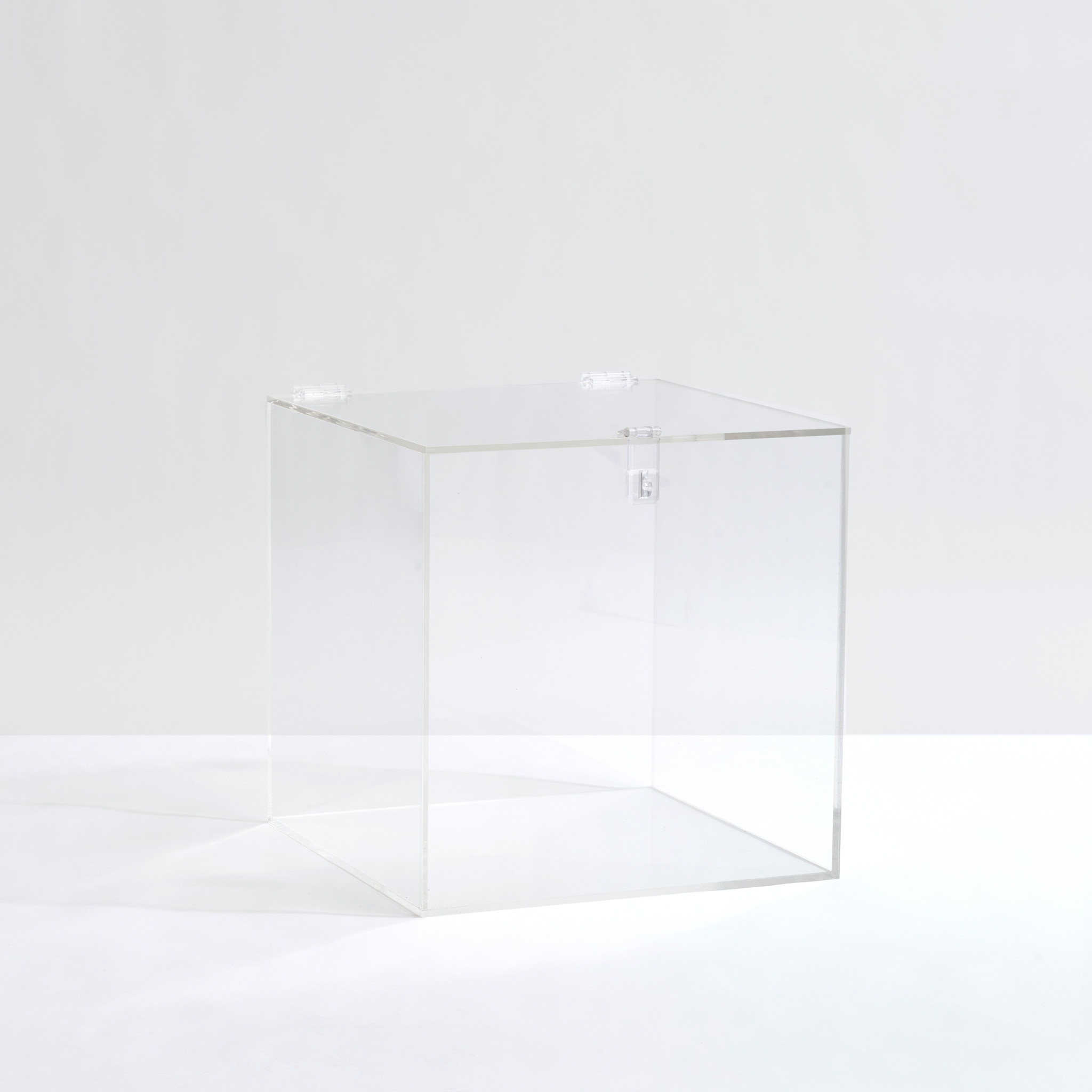Large Clear Storage Bin with Clasp and Scoop