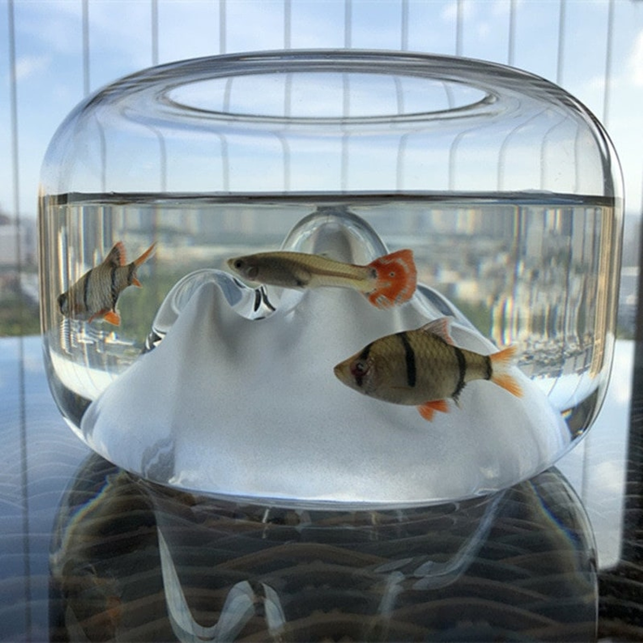 Modern Clear Glass Fishbowl with Mountains