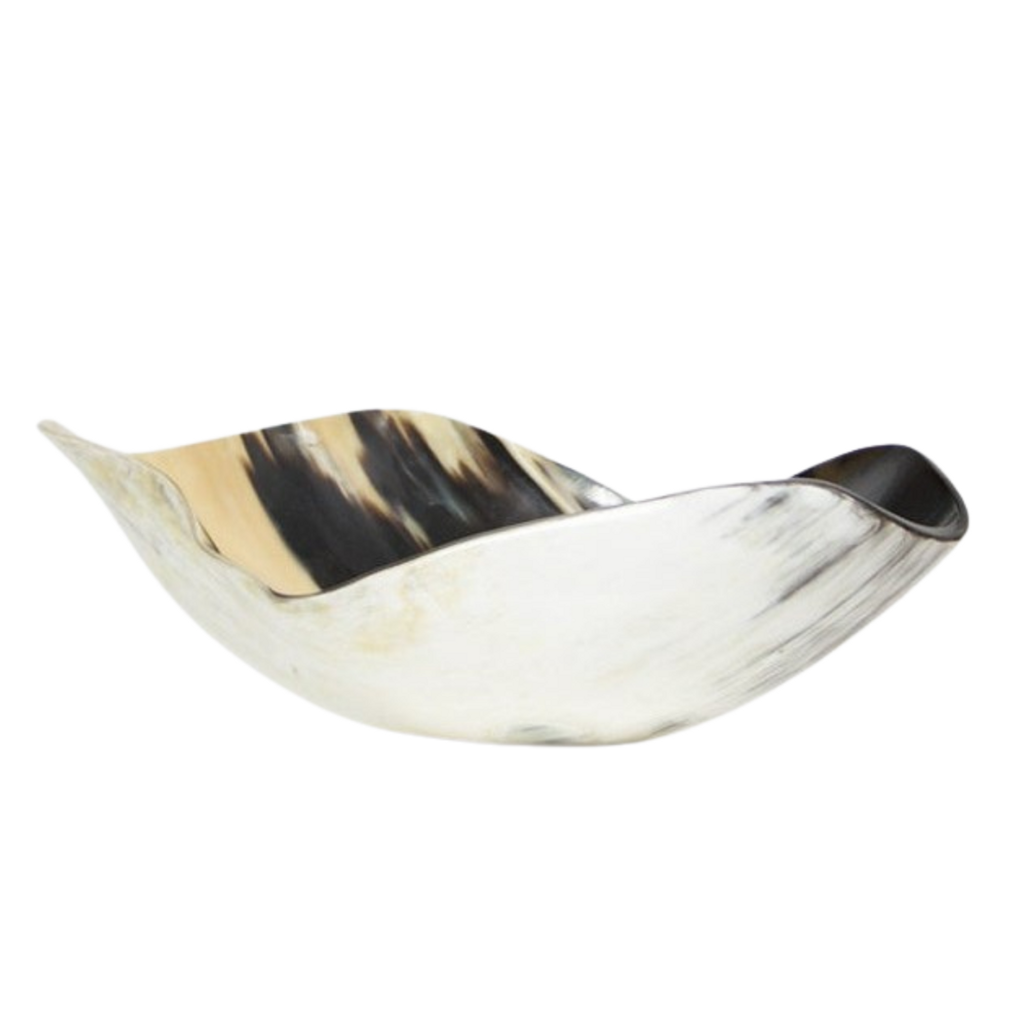 Modern Horn Organic Vessel Bowl