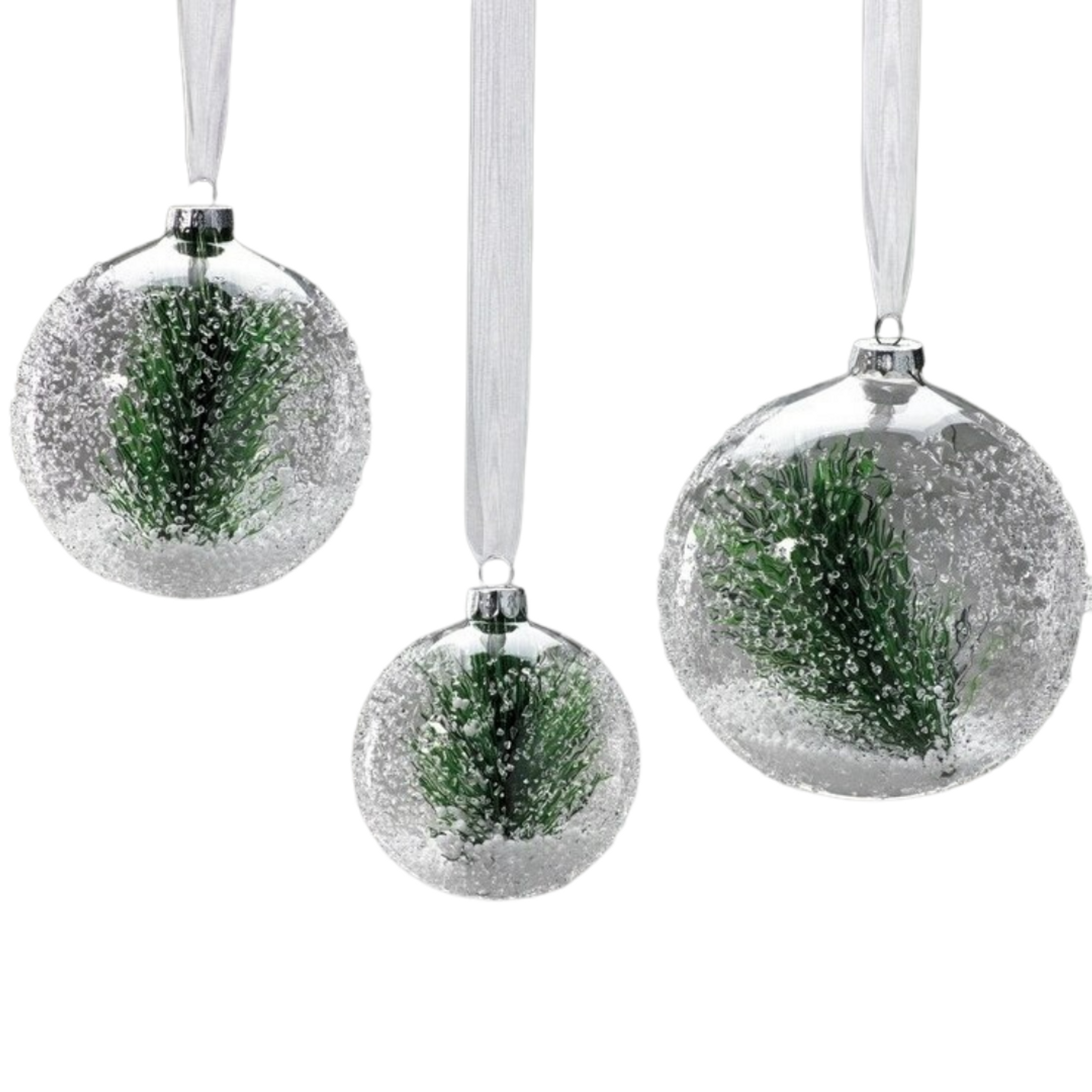 Set of 4 Modern Clear Glass Balls with Pine Needles