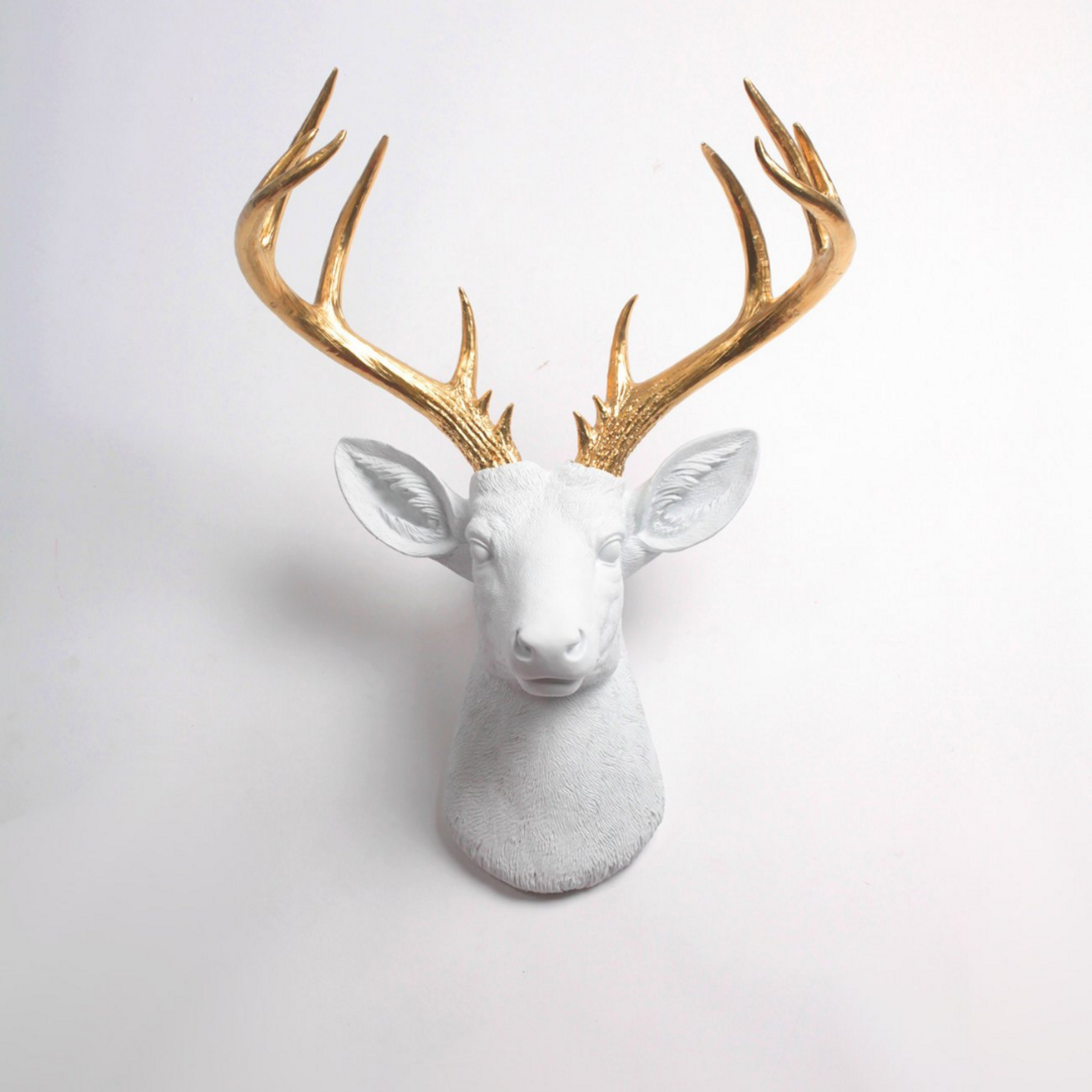 White Resin Faux Deer Antler with Gold Horns,  Options