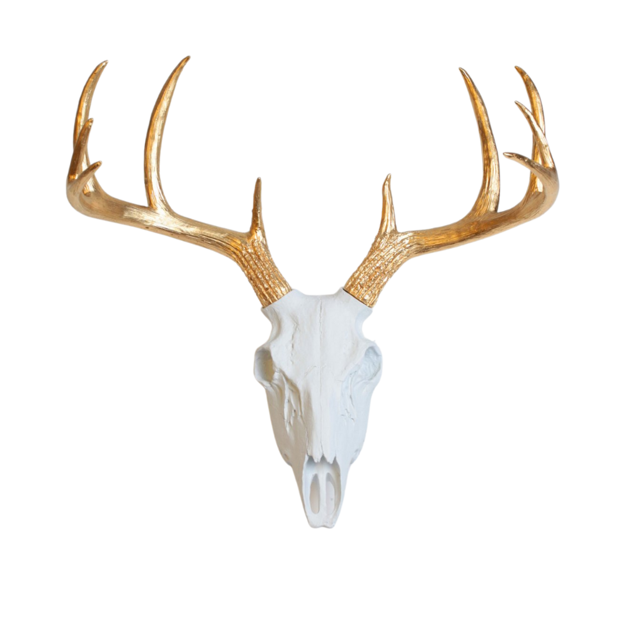 Resin and Gold Faux Deer Skull with Gold Longhorns