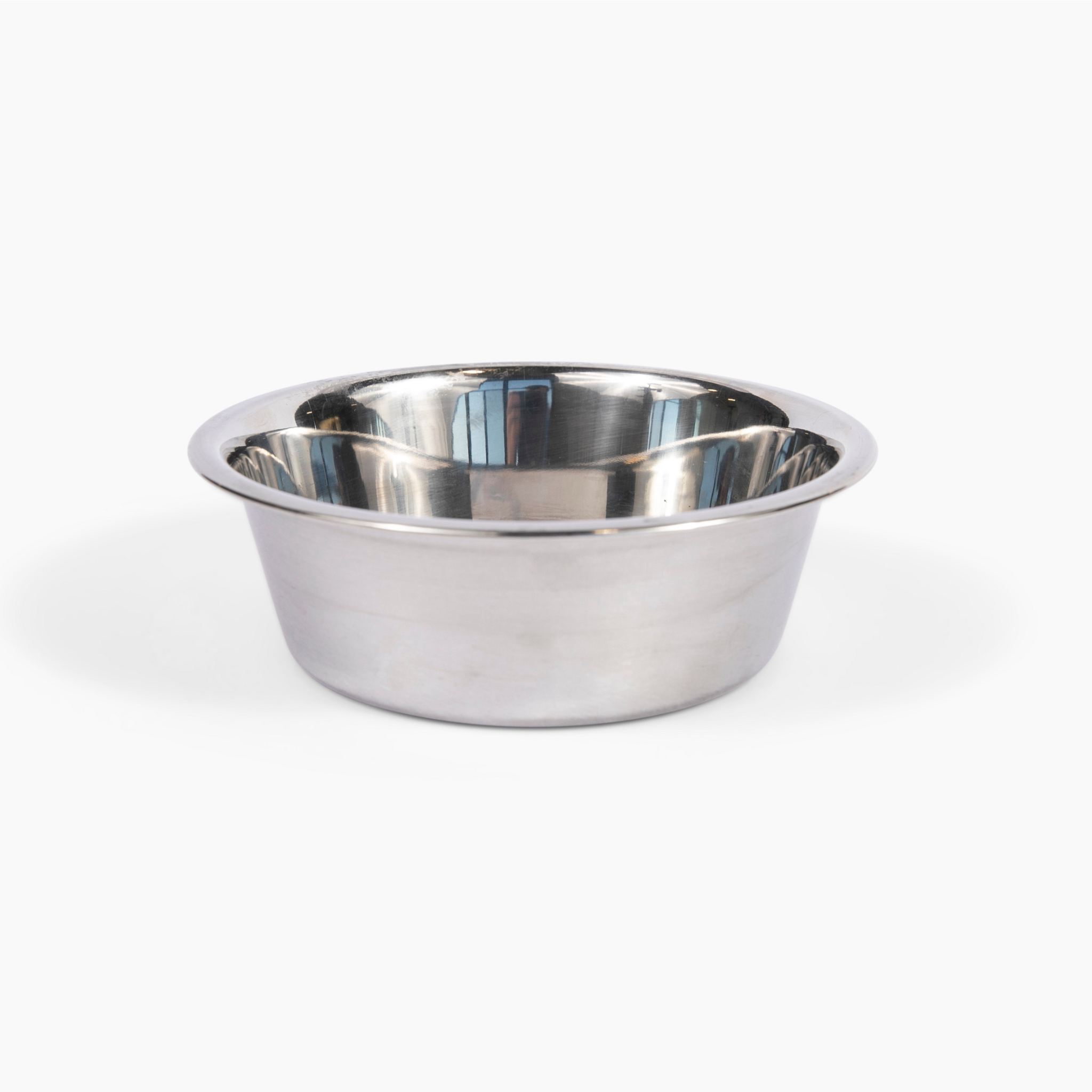 hiddin tall double lucite acrylic pet bowl feeder silver