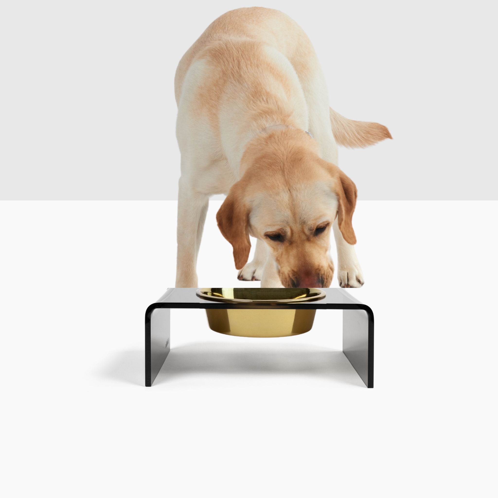 Clear Acrylic Single Bowl Pet Feeder, by Hiddin.co