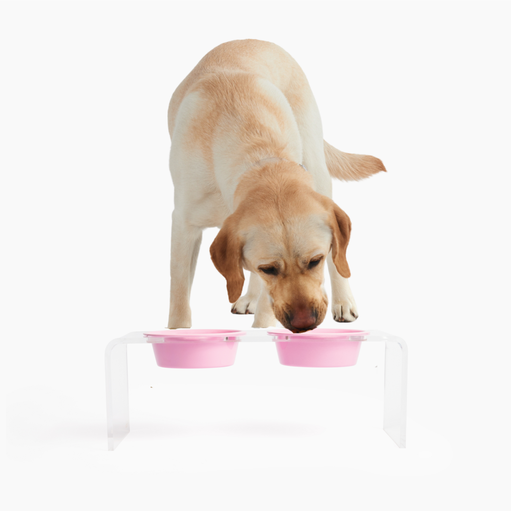Medium Clear Double Pet Bowl Feeder with Color Bowls pink Hiddin