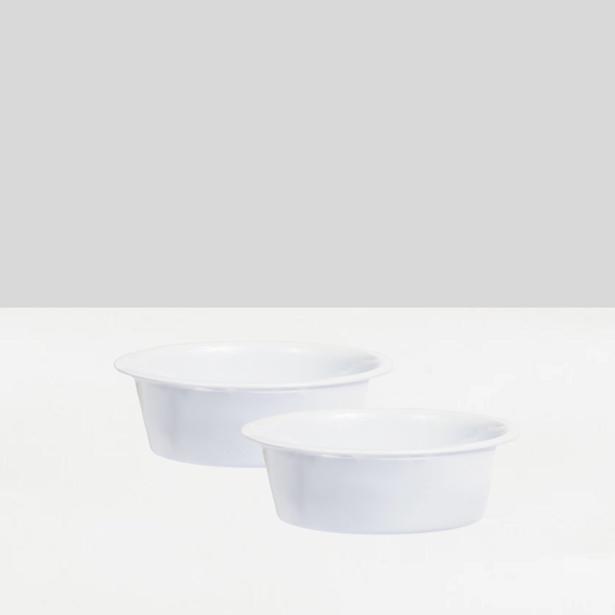 Stainless Steel Pet Bowl, Set of 2 | Options by Hiddin