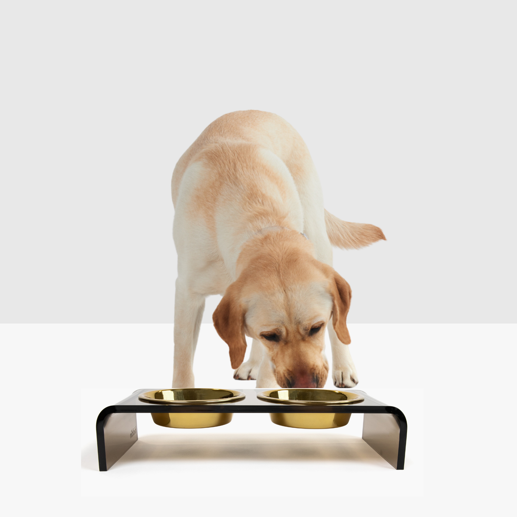 Small Bronze Double Bowl Pet Feeder | Options