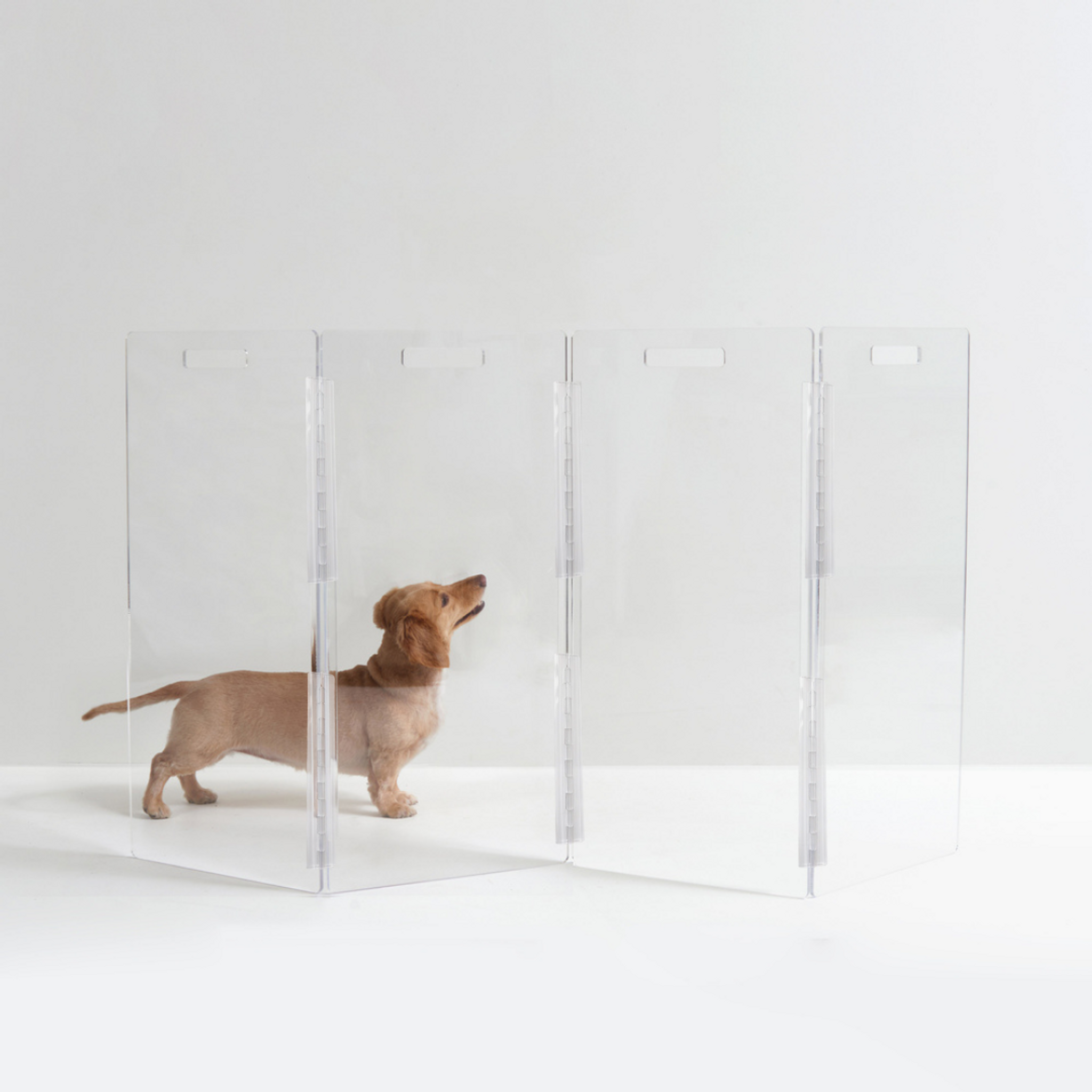 Clear Acrylic Freestanding Zig Zag Pet Gate by Hiddin,  Options