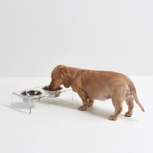 clear small pet dog cat double raised lucite acrylic dog bowl feeder feeding bowl set stainless steel