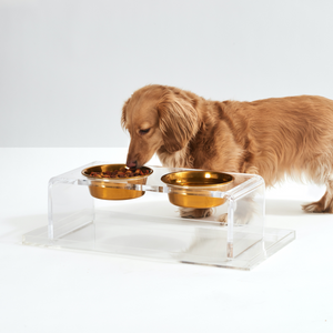 Clear Acrylic Double Bowl Pet Feeder with Gold Bowls