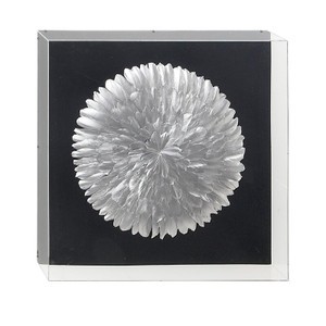 white gold Feather Circle on Black in Clear Shadow Box,