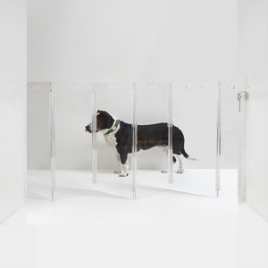modern clear acrylic lucite wall attached zig zag pet dog gate barrier