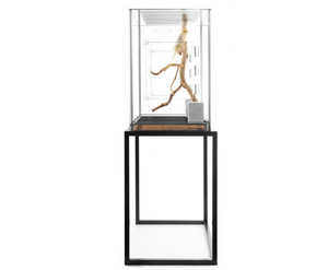 hopper hall floor standing bird cage modern lucite acrylic see through