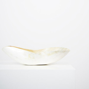 Modern Horn Organic Vessel Bowl