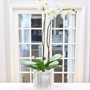 White Selenite Crystal Round Vase/Planter Pot 