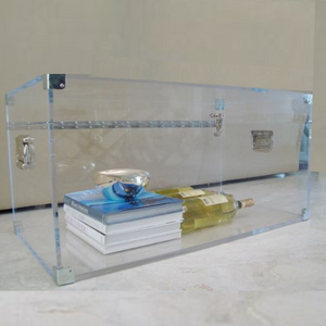 Modern 1" Thick Lucite Trunk Coffee Table