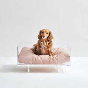 Clear Acrylic lucite raised elevated modern Dog Bed by Hiddin