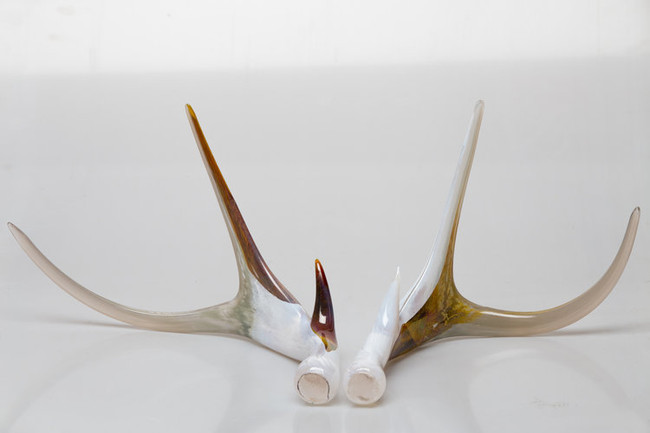 Art Glass Blown Antlers Pair, Color Options