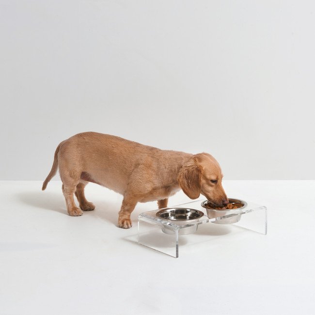 BTY Dog Bowl Elevated Feeder